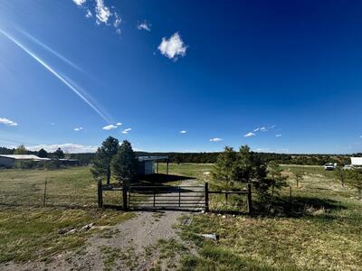 92 Holli Loop, Edgewood 