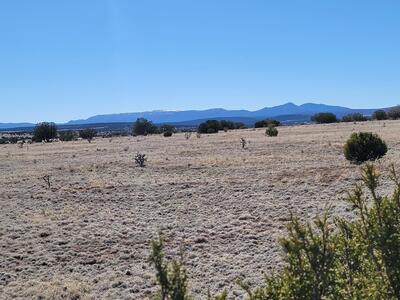 100 Brazos Loop, Estancia 