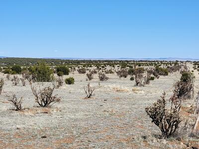 14-A Brazos Loop, Estancia 