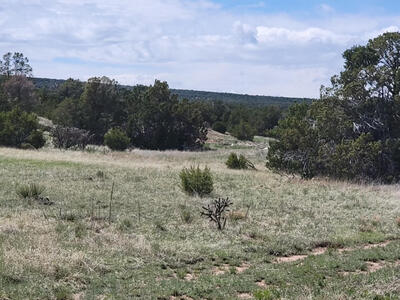 2 Woodland Drive, Moriarty 