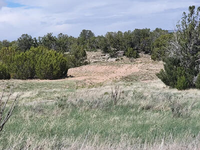11 High Vista Drive, Edgewood 