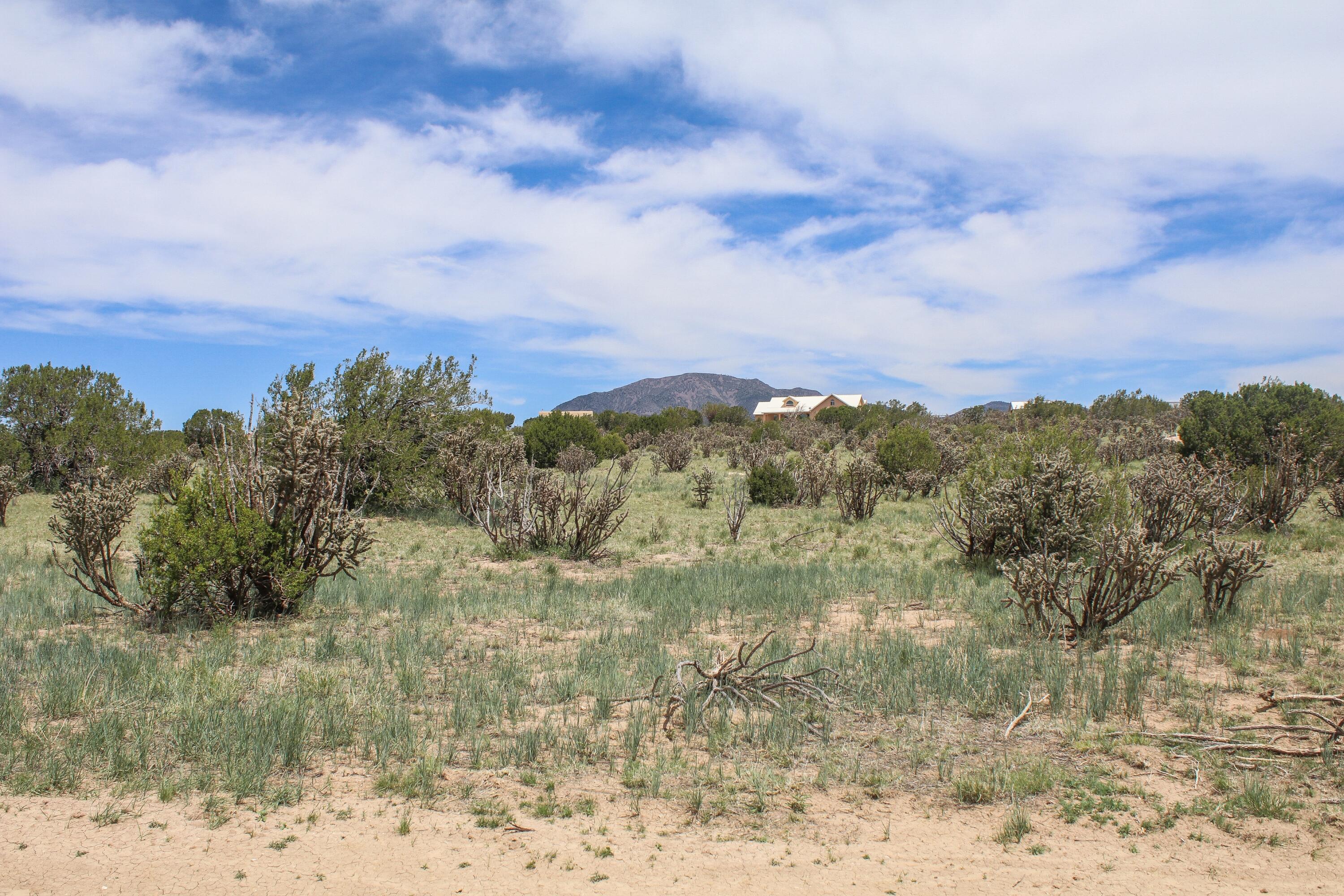1 Taluca Court - Main Image