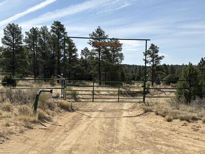 994 Wild Horse Ranch Rd, Pie Town 