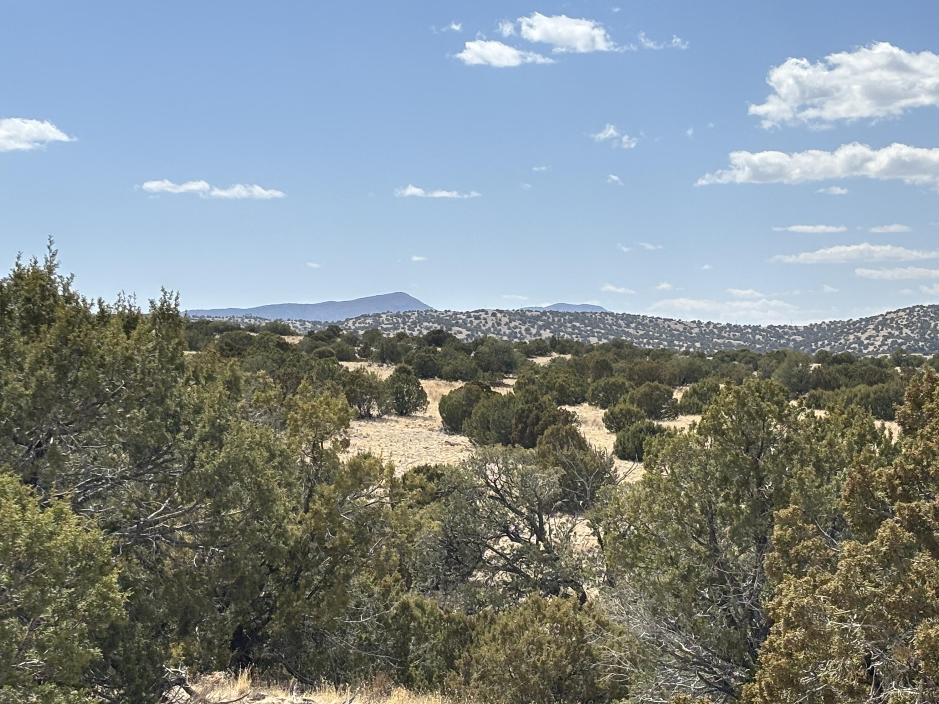 Lot 55 Pinon Springs Ranch - Main Image