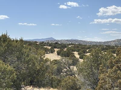Lot 55 Pinon Springs Ranch, Magdalena 