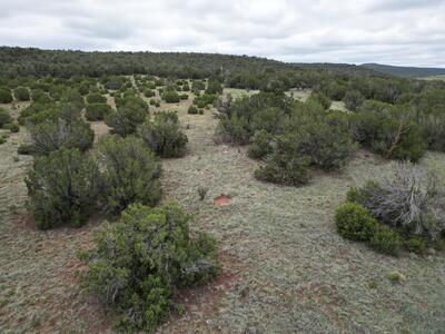 0 Windhaven Lane, Edgewood 