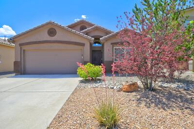 7217 SKAGWAY Drive NE, Rio Rancho