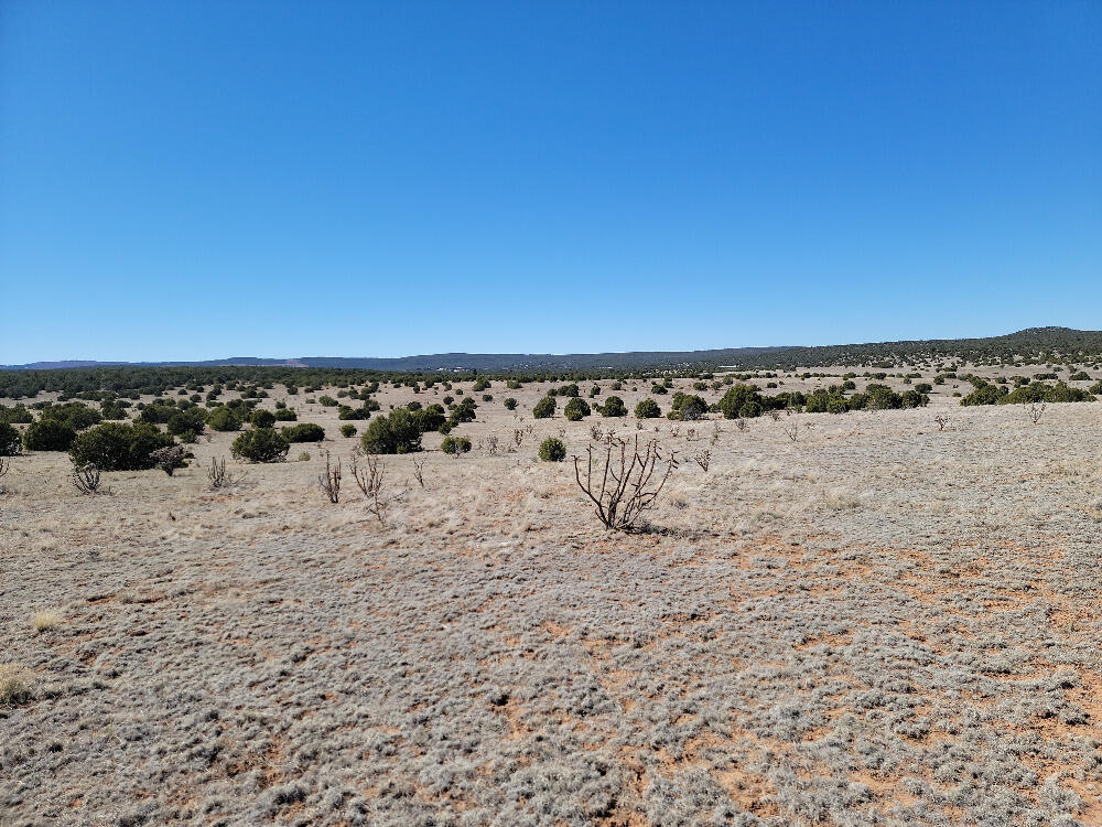140 Brazos Loop - Main Image