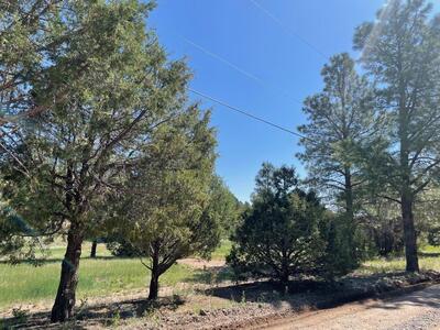 5 YUCCA FLATS Road, Tijeras 