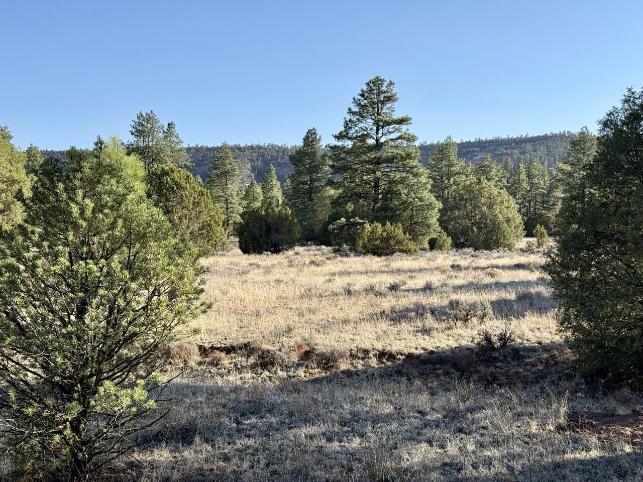 Lot 21 Cottonwood Lane - Main Image