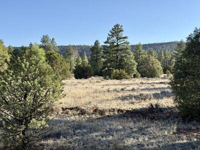 Lot 21 Cottonwood Lane, Ramah 