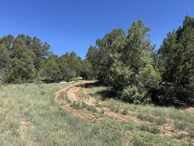 58 CANDELARIA Road, Tijeras 