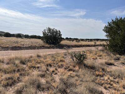 Lot 3904 Blk 1 Valle De Manana, Socorro 