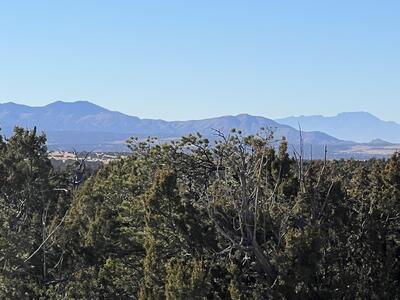 1957 DEER CANYON Trail, Mountainair 