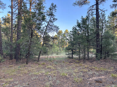 120 SKYLAND Boulevard, Tijeras 