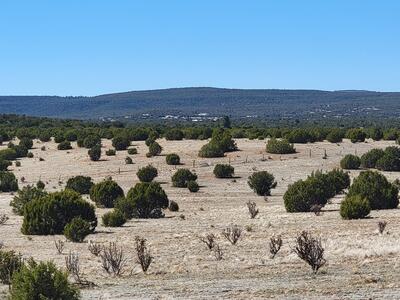 140 Quiet Valley Drive, Estancia 