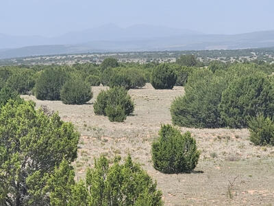 170 Quiet Valley Drive, Estancia 