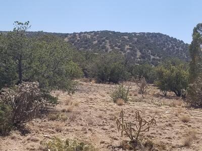 190 Quiet Valley Drive, Estancia 