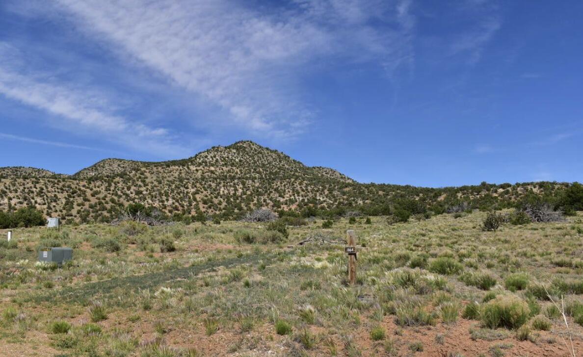 1864 DEER CANYON Trail - Main Image