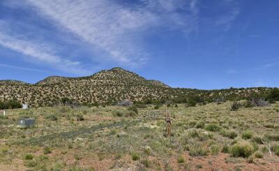 1864 DEER CANYON Trail, Mountainair 