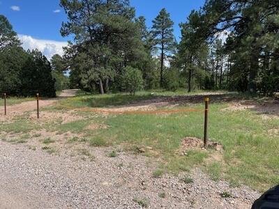 263 S CR 263 Road SW, Manzano 