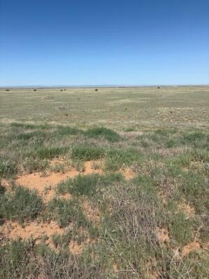 Bluegrass Rd Tract 1S, Estancia 