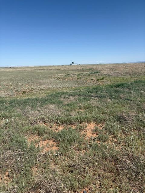 Bluegrass Rd - Main Image