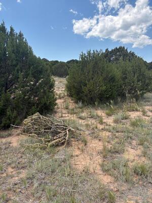 Wilson Ranch Lot#8, Tajique 