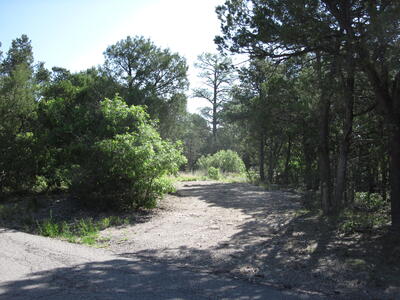29 LARK Road, Tijeras 