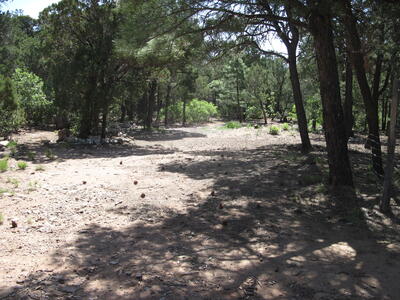 1 OWL Road, Tijeras 