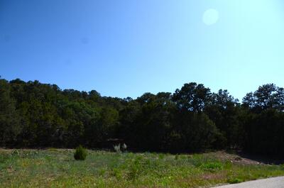 24 ANNE PICKARD Loop, Tijeras 