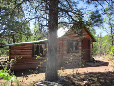 Forest Road 157, Ramah 