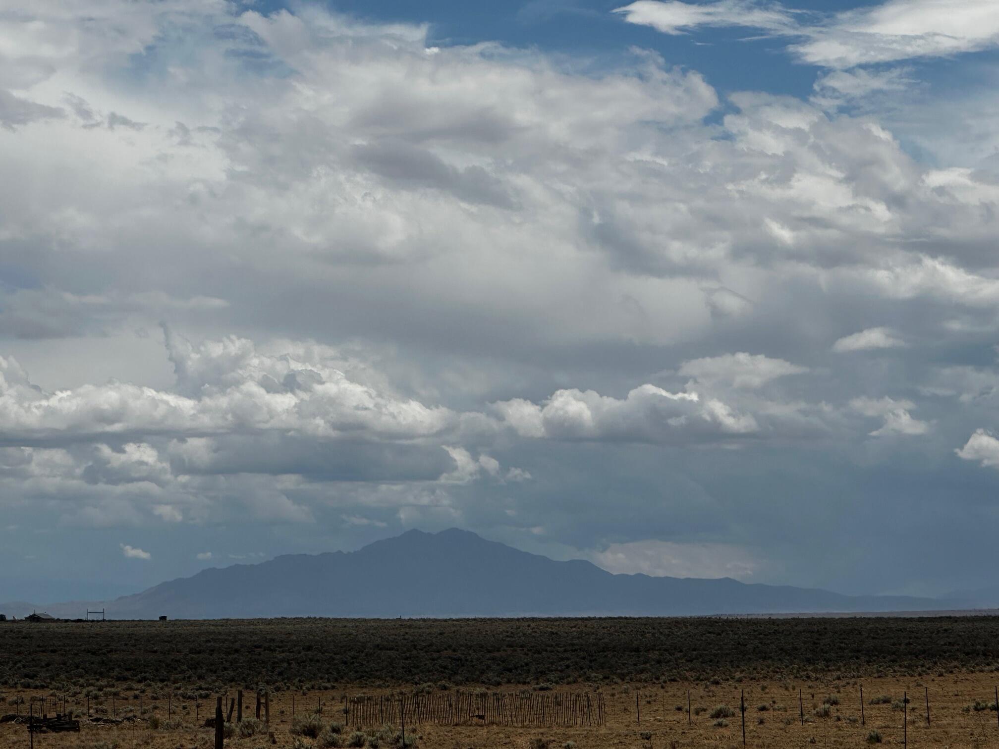 Lot 49 off of Quintana Rd - Main Image