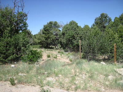 16 ROADRUNNER Road, Tijeras 