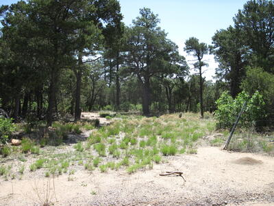 7 BLACKBIRD Road, Tijeras 
