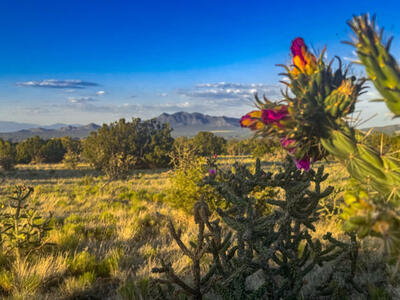 90 Vista La Madera, Sandia Park 