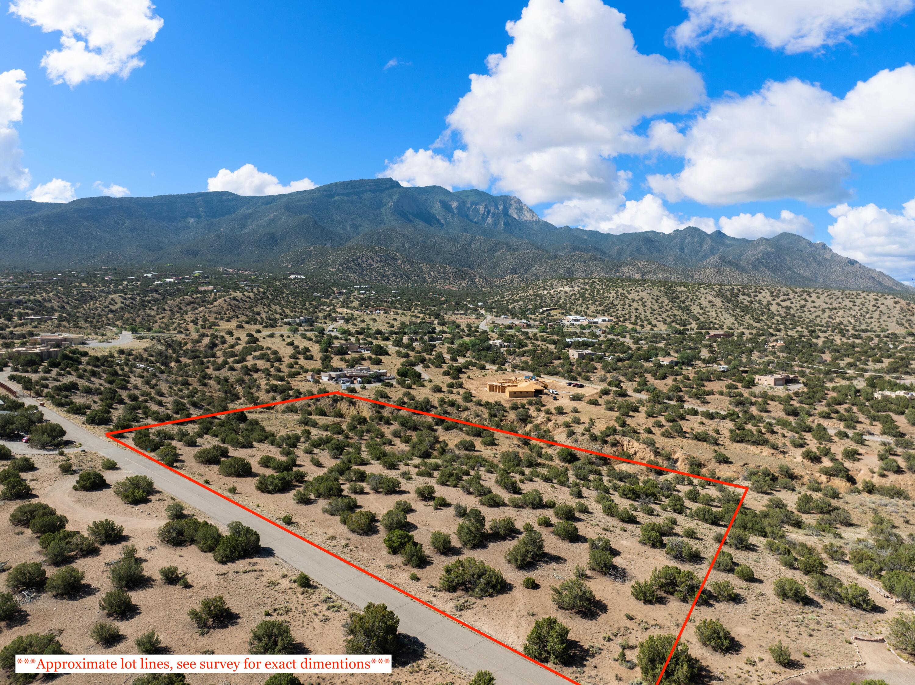 Pinon Lane - Main Image