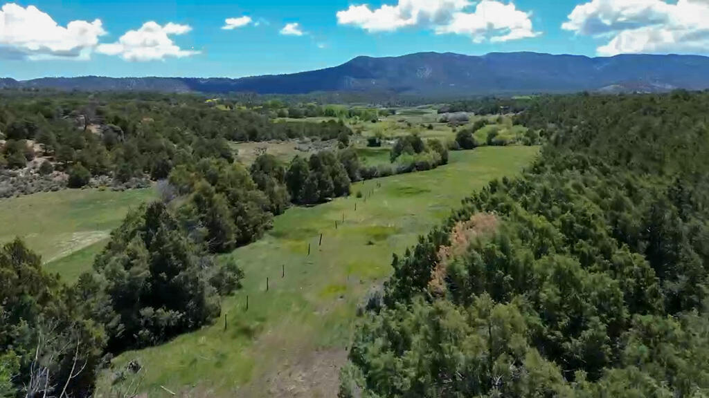TBD Bear Paw Valley Ranch - Main Image