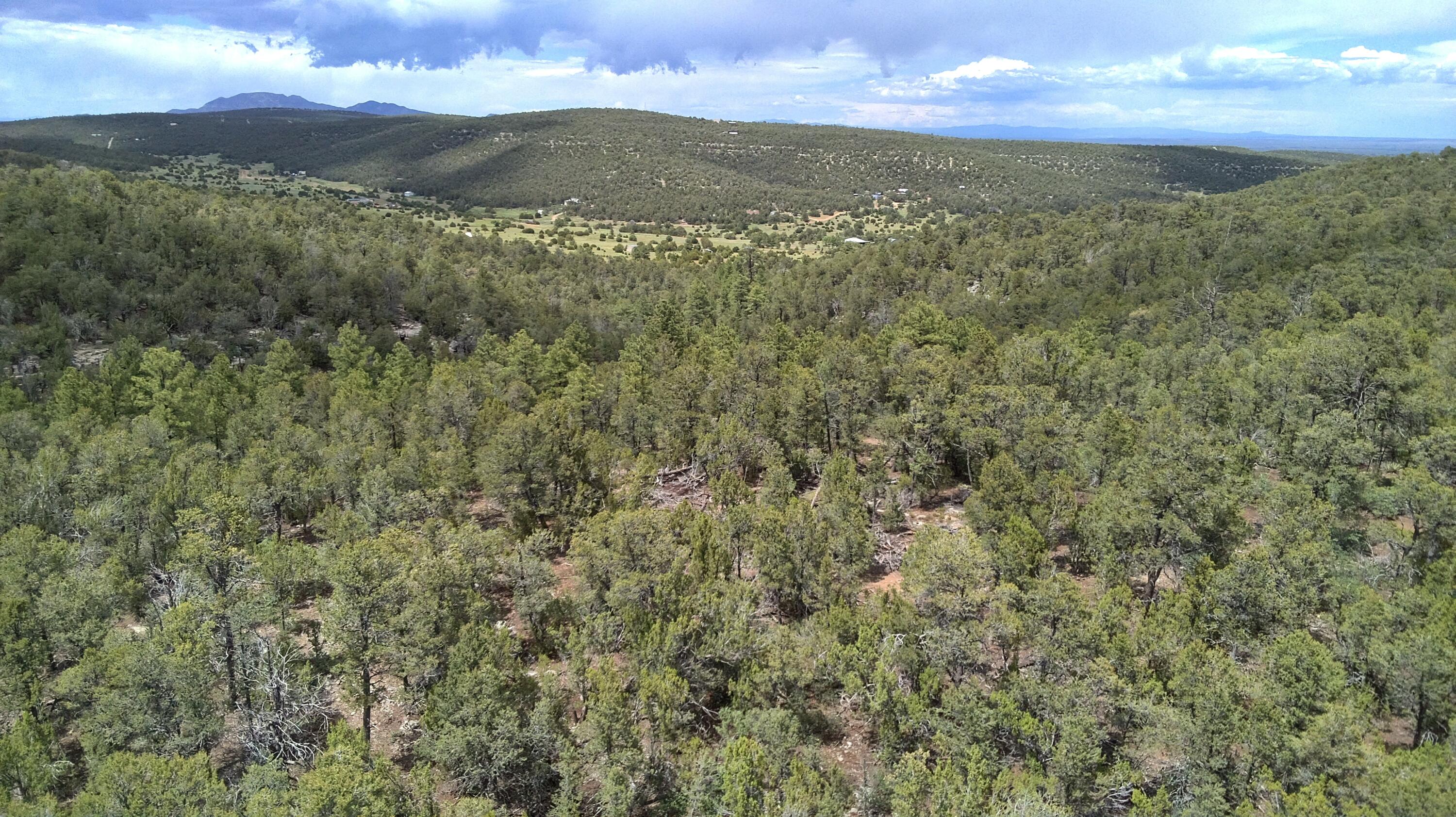 McComb Road - Main Image