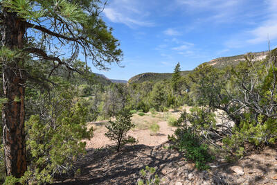 EAGLE HEIGHTS NORTH Tract: 1A1, Jemez Springs 