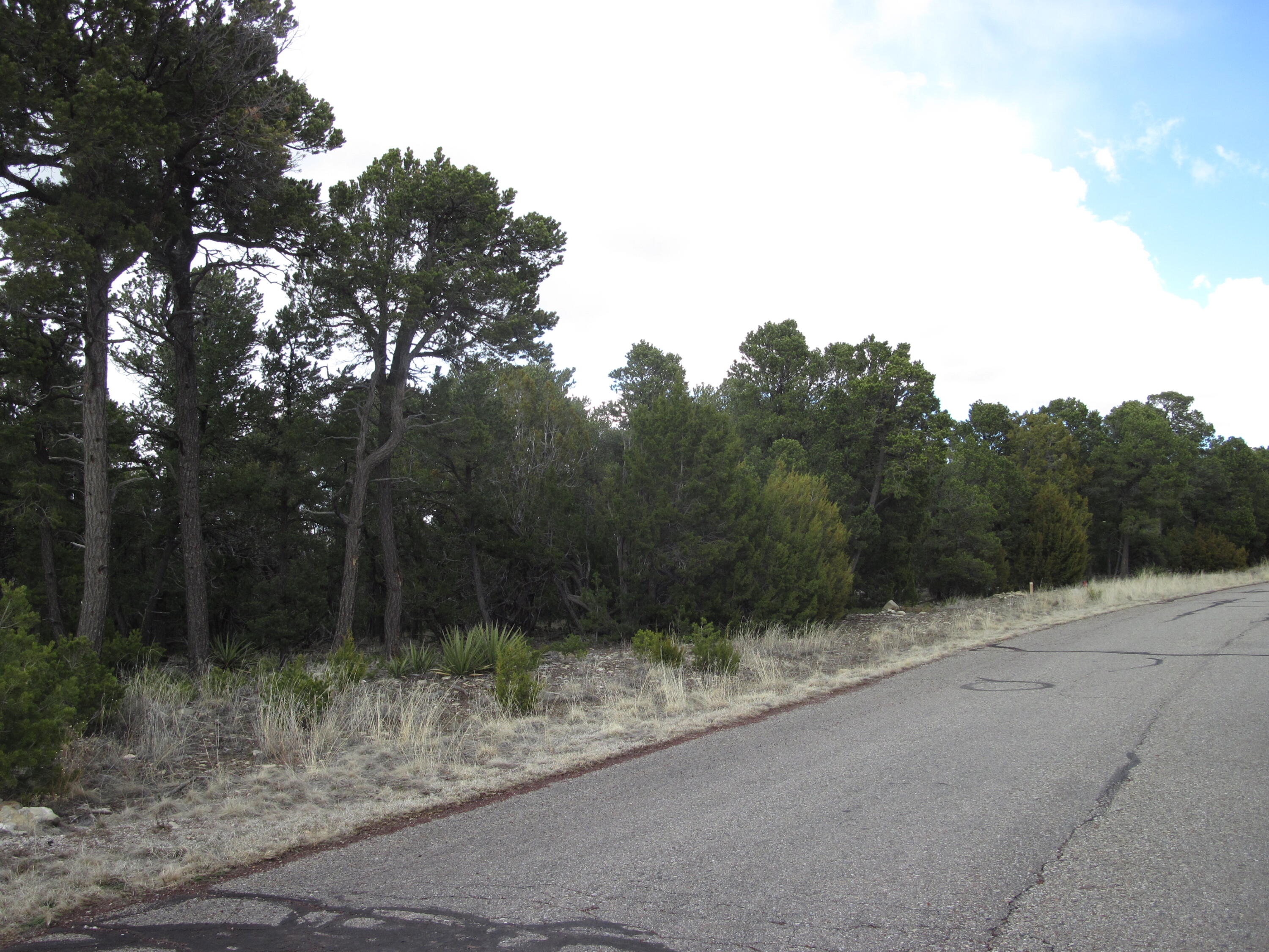 207 VIA SEDILLO Road - Main Image