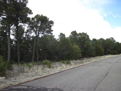 207 VIA SEDILLO Road, Tijeras 