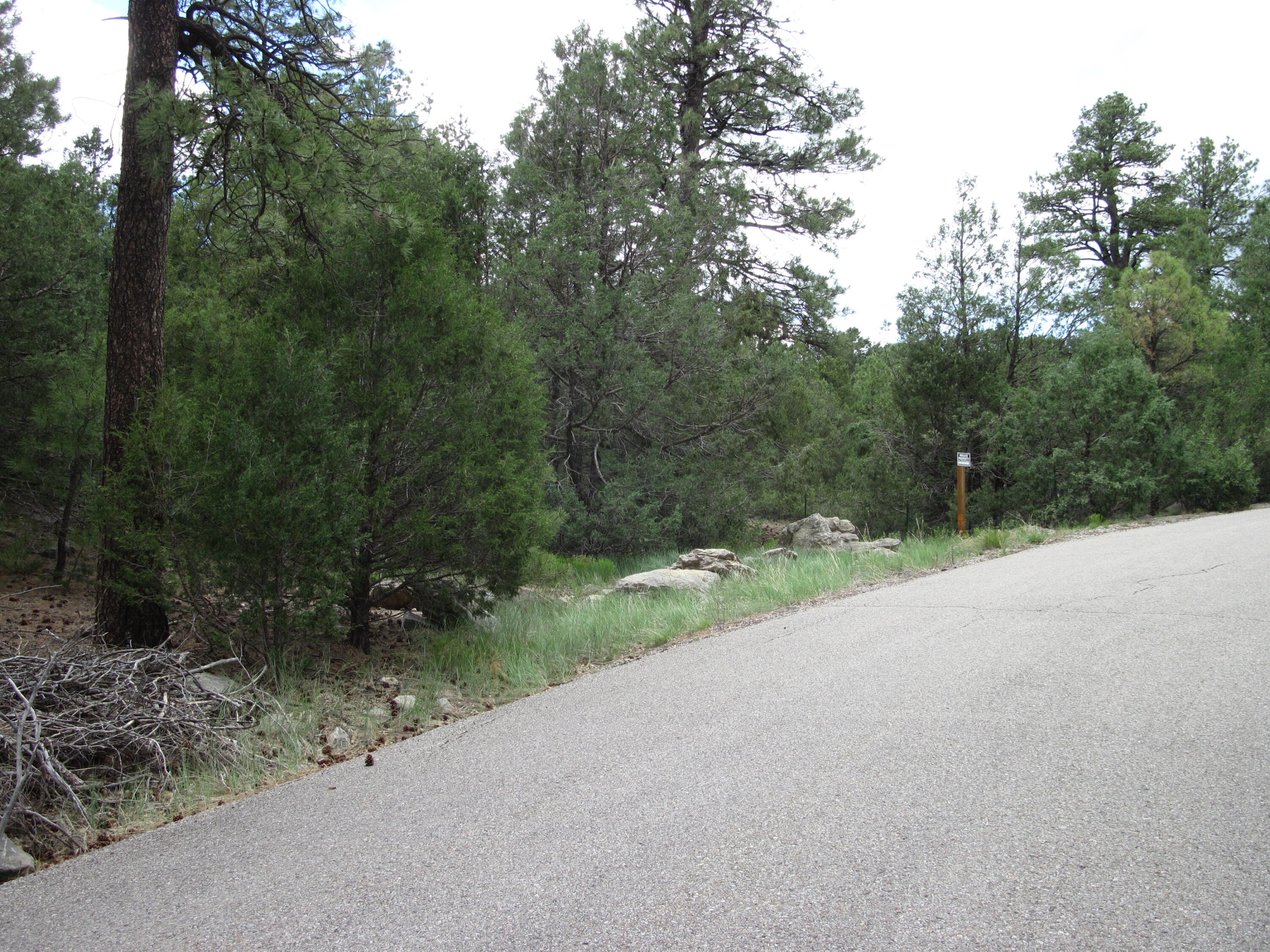 35 THUNDERBIRD Lane - Main Image