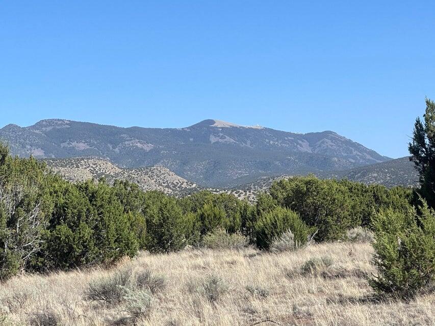 Lot 4 Magdalena Ranch Estates - Main Image