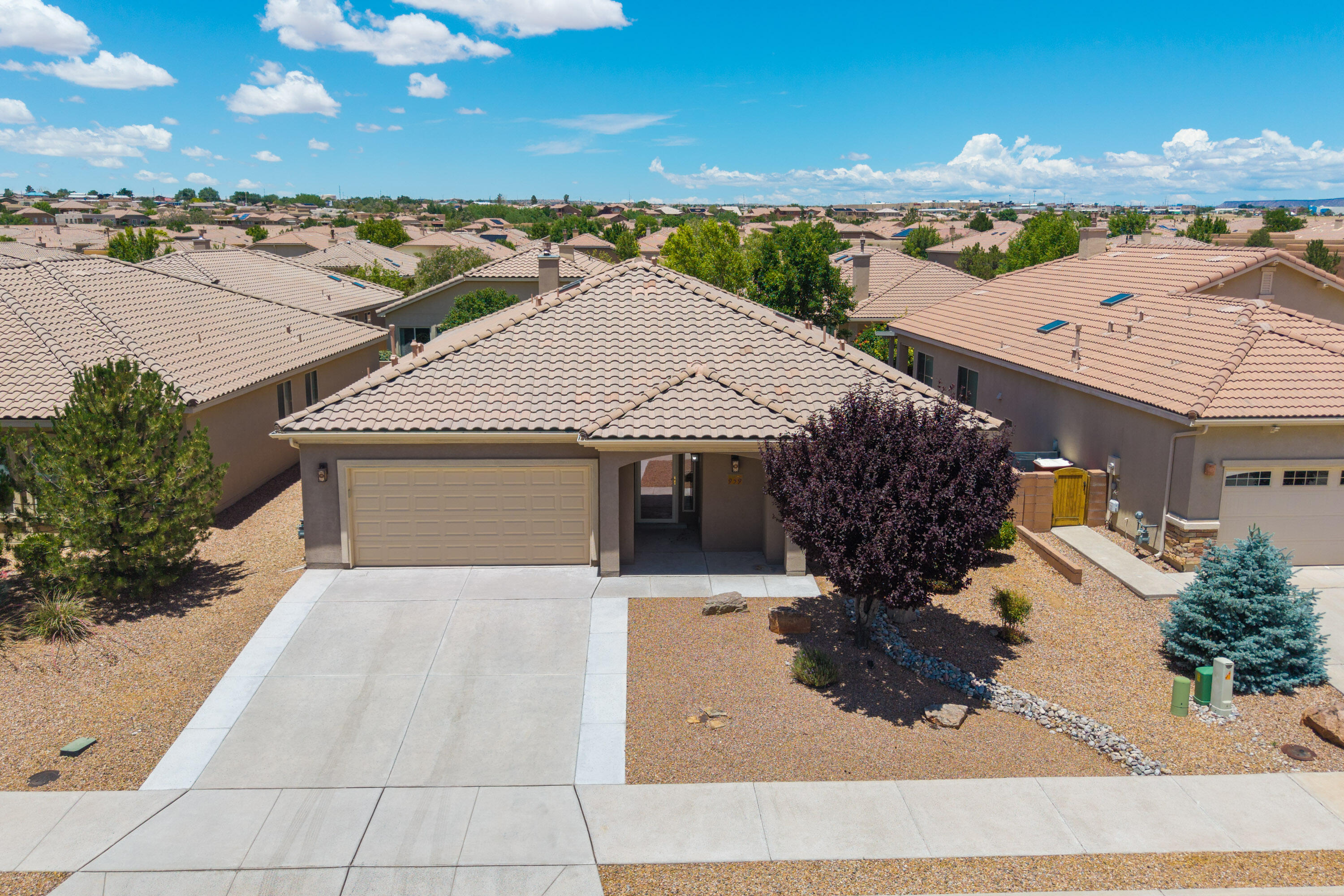 959 SALT CEDAR Court - Main Image