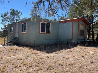 111 HOMESTEAD Trail, Datil