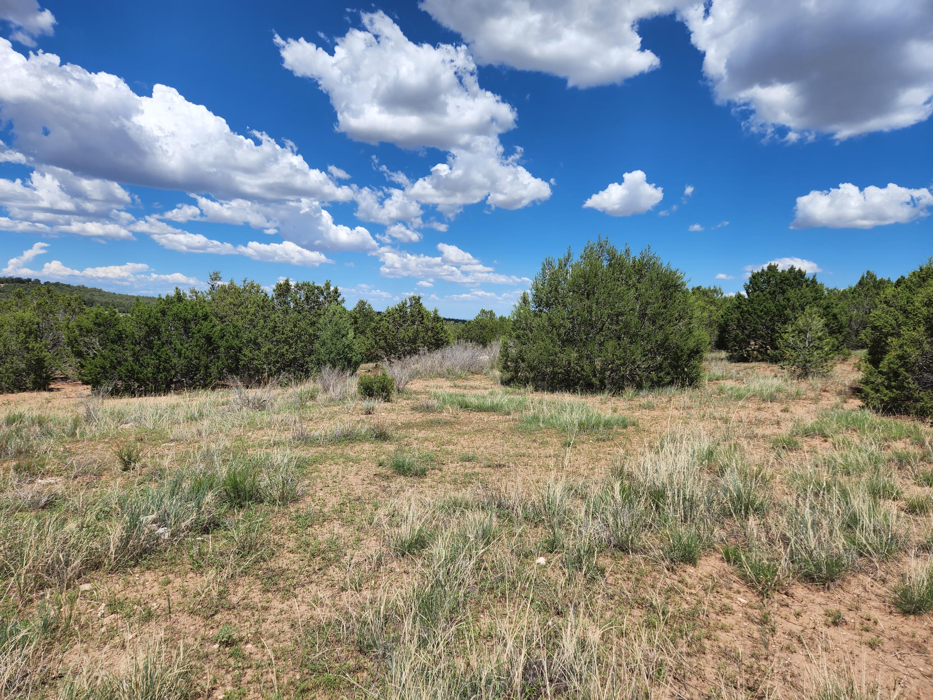 455 Acres Off Brannan Loop - Main Image