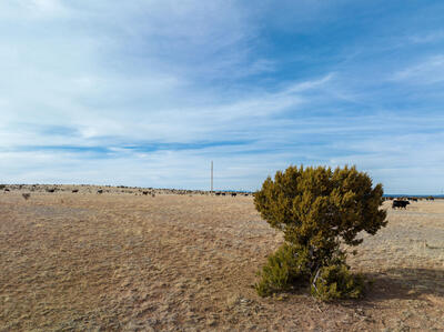 Portillo Creek Ranch, Santa Rosa 