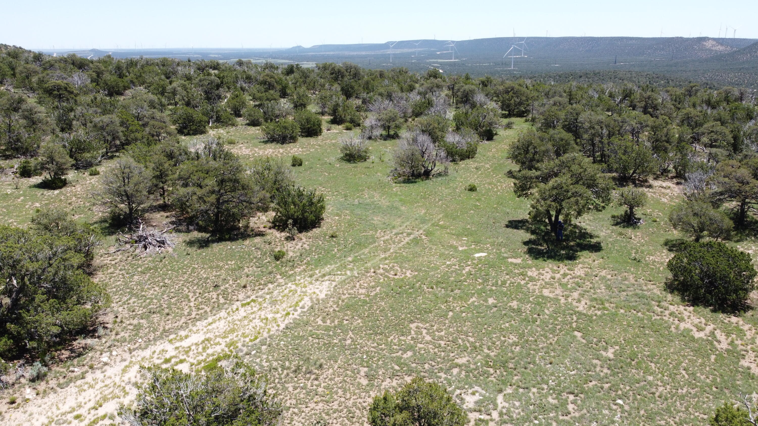 Lot 16 Swayback Trail - Main Image