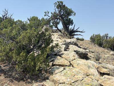 Lots 63&64 Abbe Springs Ranch, Magdalena 
